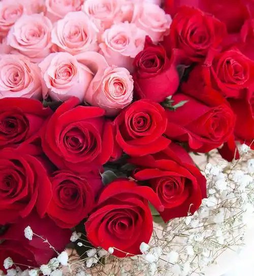精品99朵玫瑰混搭花束 - 中国同城鲜花网