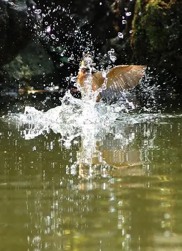 出水入水精彩集锦