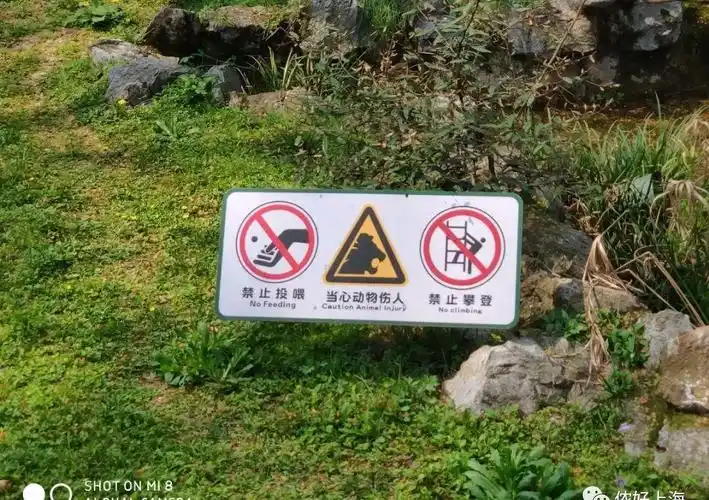 最近,上海动物园曝光了一批游客不文明投喂的照片