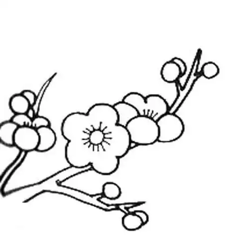 一枝梅花简笔画一枝梅花简笔画儿童画
