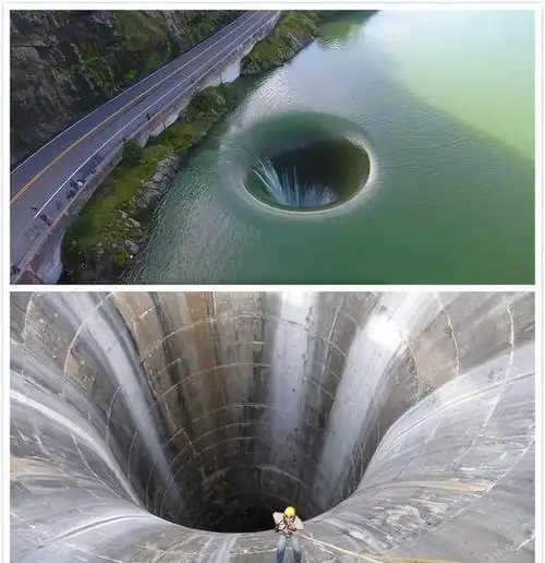 50张让人感到窒息的巨物,让人头皮发麻的片