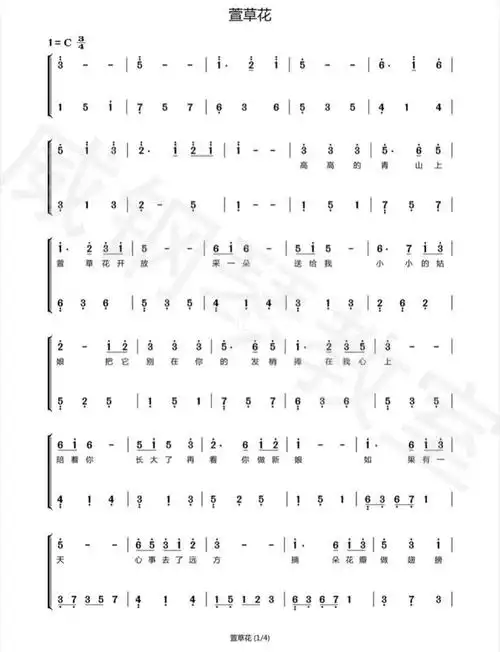 图片内容是:萱草花简谱c调《萱花草》简谱_简谱_钢琴谱_娱乐_音乐