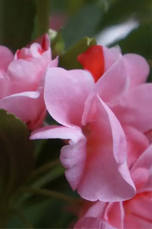 1199_1805竖版 竖屏