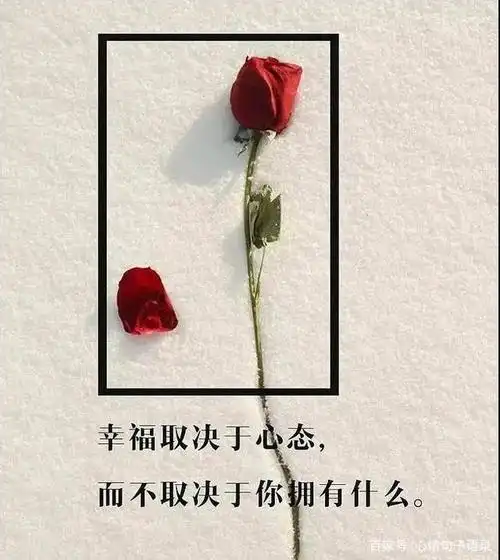 说说简单气质一句话,经典有气质内涵的短句子