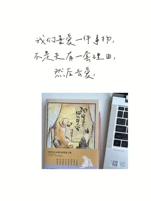文案大师笔下可爱有趣的阿猫阿狗