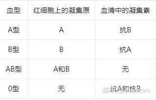 第四节 血型与输血