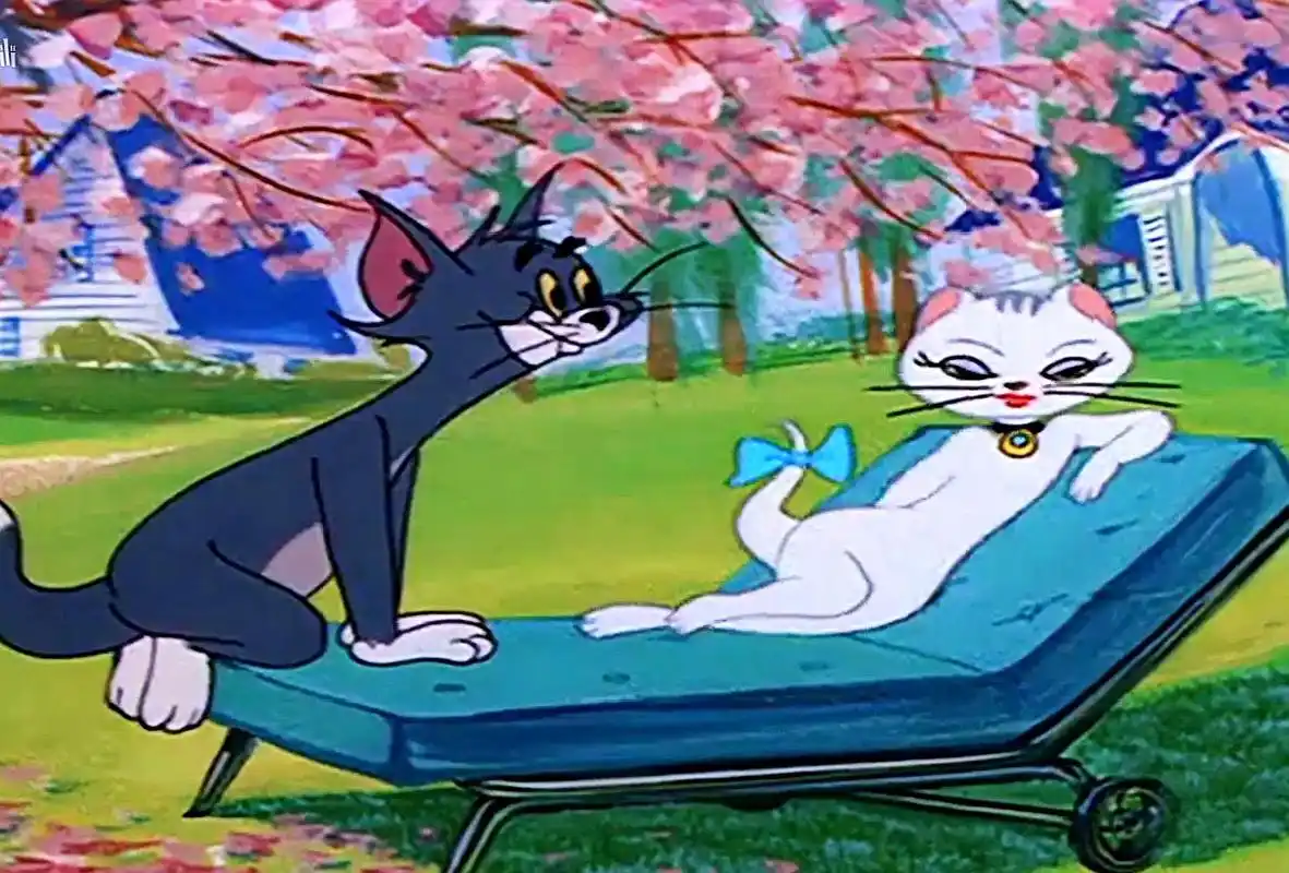 猫和老鼠:汤姆猫的"情史"!那些年,汤姆喜欢过的猫!