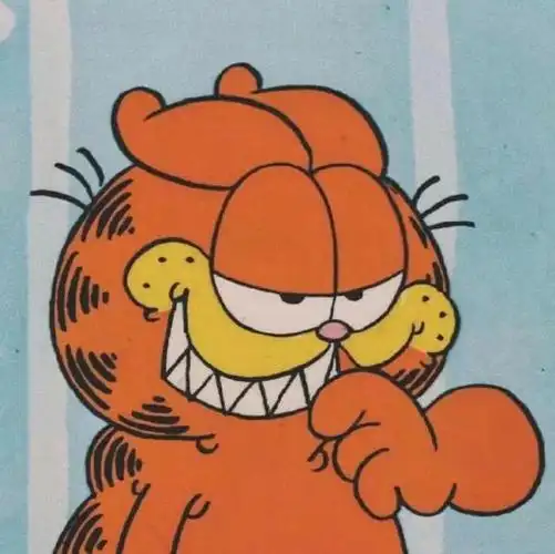 萌萌的加菲猫可爱图片,加菲猫咪图片大全可爱头像(加菲猫 壁纸 表情包