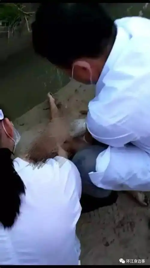 随后有群众报警,医务人员赶到现场后立即对男童实施抢救,不过遗憾的是