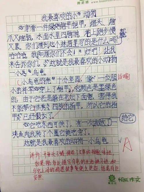 三年级同步快乐作文-《我最喜欢的小动物》