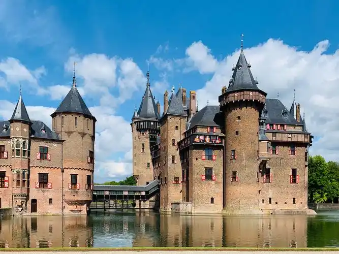 观察中荷搭档直播云游荷兰助力旅游业恢复