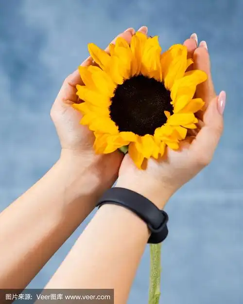 手持蓝色背景单朵向日葵的女子