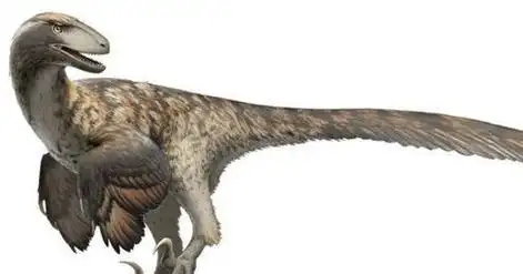 比恐龙更可怕13种动物,迅猛龙是杂食性吗?