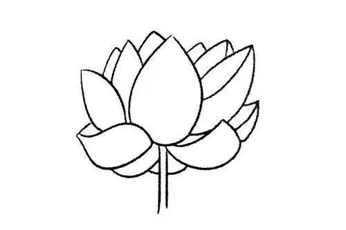 6款简单的荷花简笔画图片大全