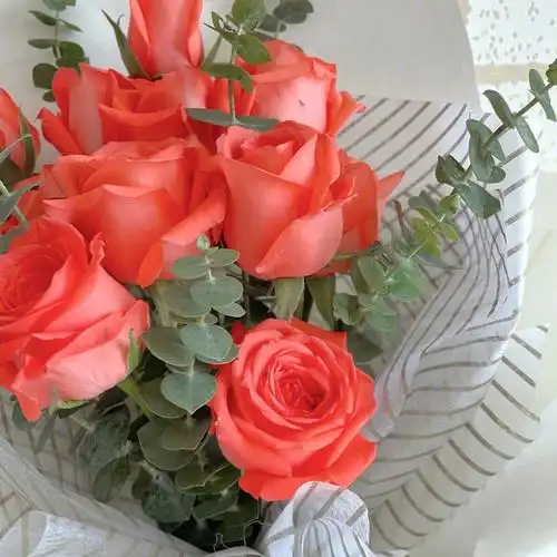 78影星玫瑰中的巨星