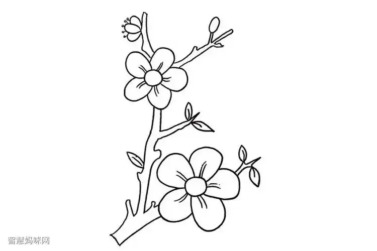 桃花简笔画画法步骤