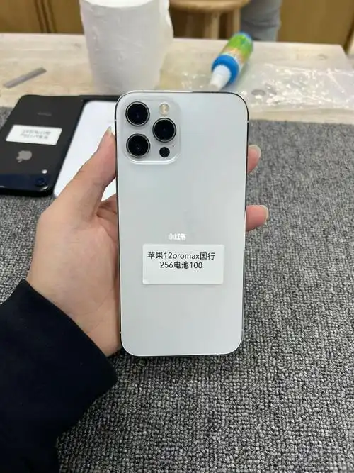 苹果12pro max 256g 银色 只卖5️⃣❎❎❎