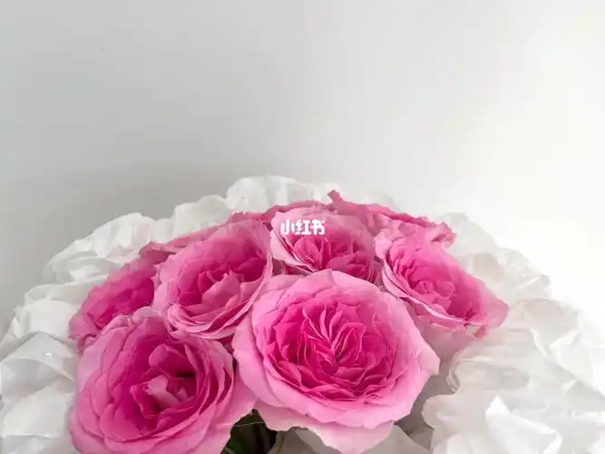 洛神玫瑰花束  #洛神玫瑰  #粉色系花束