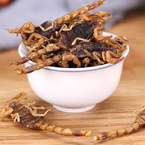 中药材沂蒙十足全蝎100克包邮清水全虫八成干钳其他药食同源食品