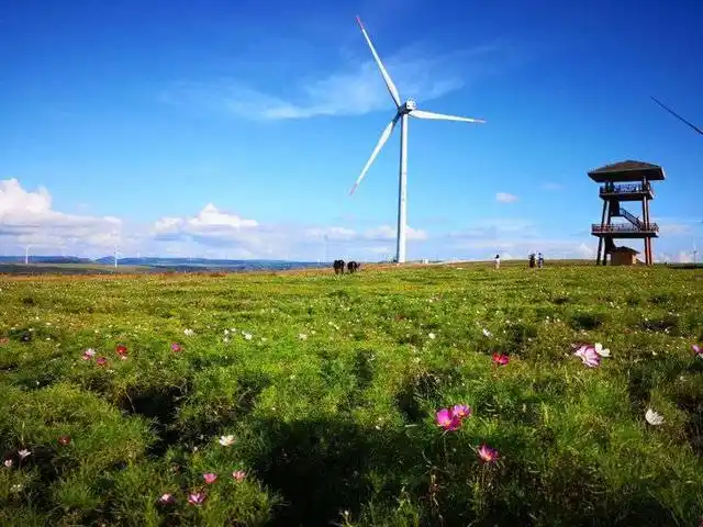 如同一幅巨大油画卷——贵州的龙里油画大草原