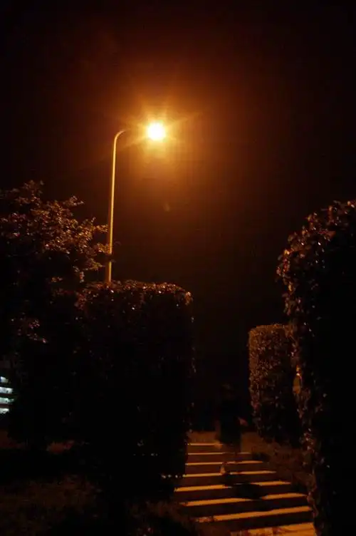 呼兰河传上帝若将你置于无边黑暗必将为你点燃一盏明灯