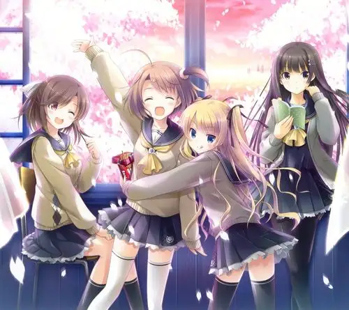 这部动漫的名字是什么?