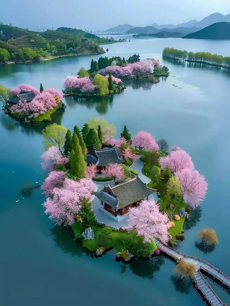 灼灼桃花,温热了心灵,也柔软了情感,眉间心上藏着太多的渴望