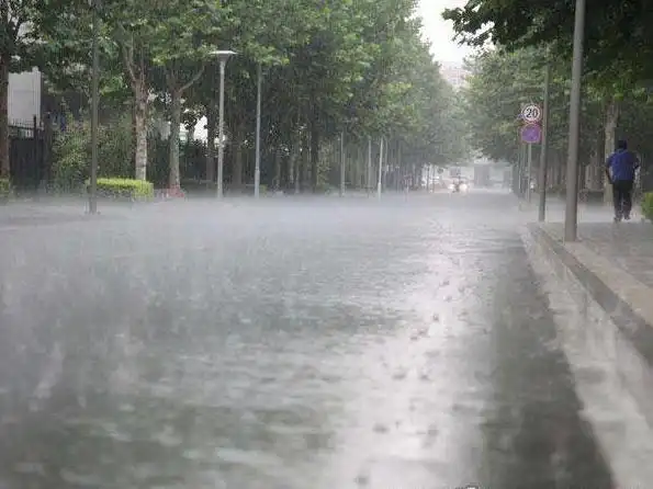 近期驻马店多发阵雨雷阵雨,专家详解成因