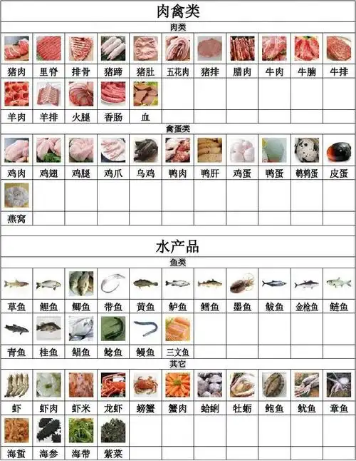 食物分类大全