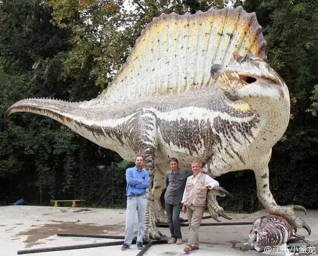 棘龙:揭开最大食肉恐龙的神秘面纱