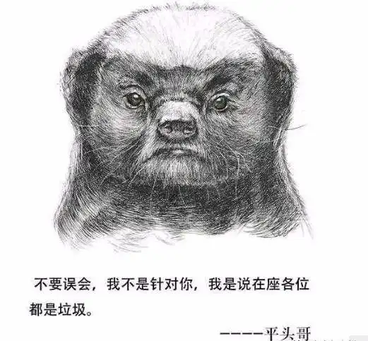 做壁纸,今天小编就给大家带来了世态炎凉别太善良平头哥的图片大全,一