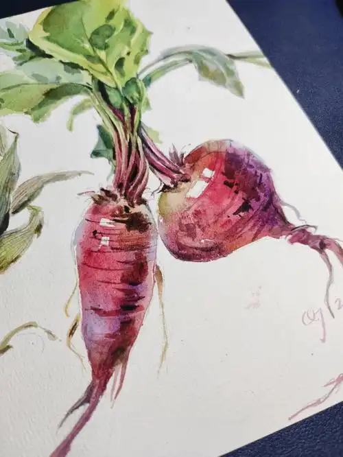 水彩静物蔬菜小练习