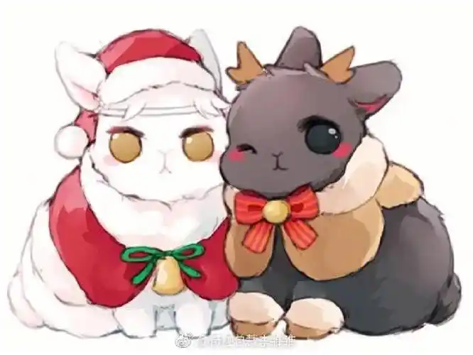 兔子  #河北  #忘羨  #忘羡兔