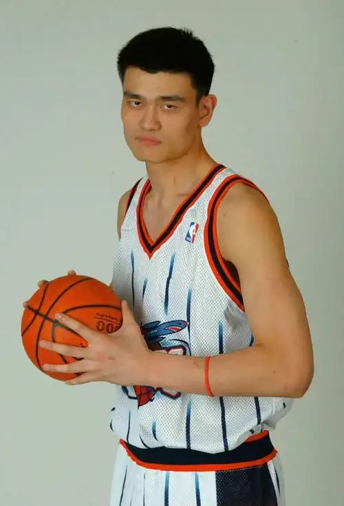 篮球壁纸中国长城姚明高清大图