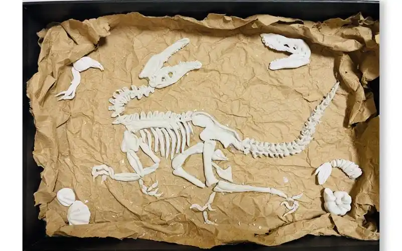 石塑粘土—恐龙化石_哔哩哔哩_bilibili