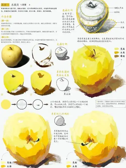 水粉静物教程步骤图水果蔬菜