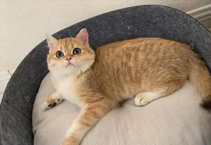 离不开这几个因素