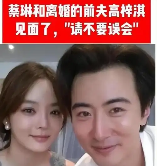 7年的等待蔡琳与高梓淇重新联络感谢你辛苦培育儿子