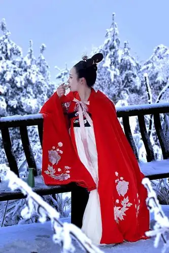 红衣女子雪中飘