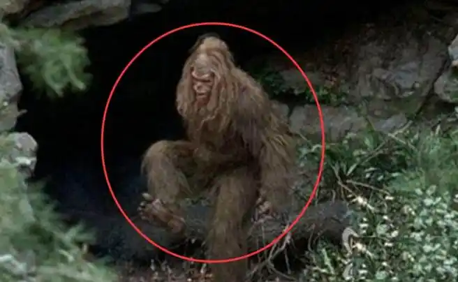 可是,一直到今天,都没有人拍到清晰的"野人"照片