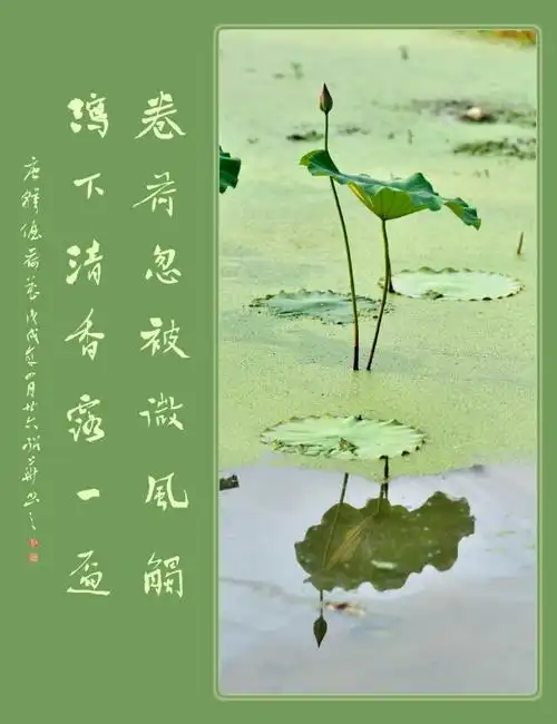 出淤泥而不染,濯清涟而不妖. ——柳城荷韵 六方斋书法摄影