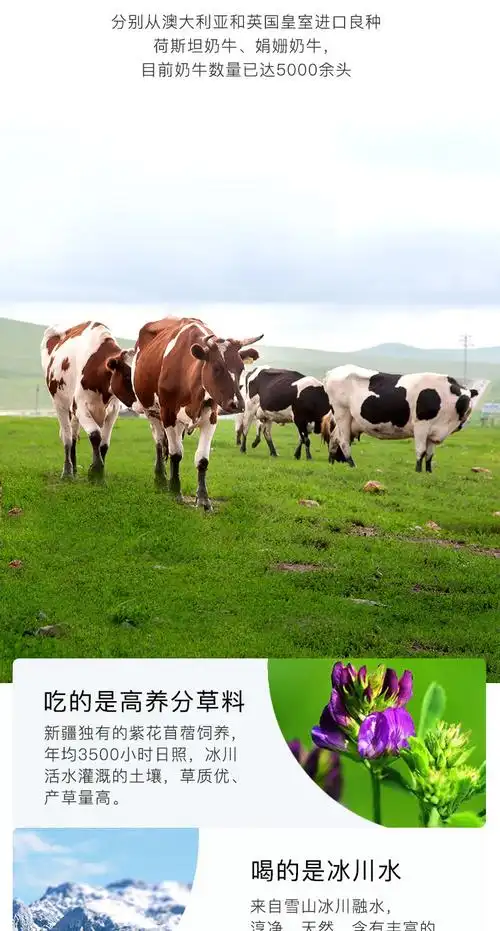 新疆兵牧雪山冰川纯牛奶200ml*20袋装整箱兵团生牛乳全脂早餐学生