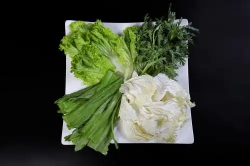 盘子里的火锅配菜蔬菜拼盘