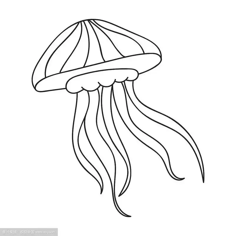 水母图标在轮廓风格孤立在白色