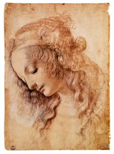 艺术大师—— 达芬奇的素描作品(欣赏篇)