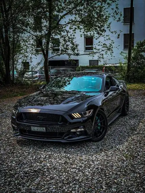 帅呆了的福特野马gt,喜欢的留个言