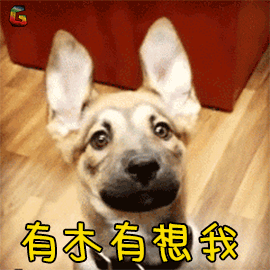 有想我有没有想我soogifsoogif出品gif动图_动态图_表情包下载_soogif