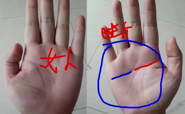 手相断掌的女人都克夫断掌的女人不能娶