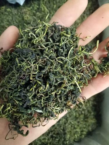 新货蒲公英花茶全草整颗棵带根干的婆婆丁茶纯天然特级500g包邮