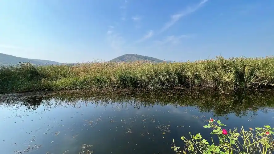 长广溪国家湿地公园 - 简书